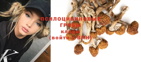 амф Абдулино