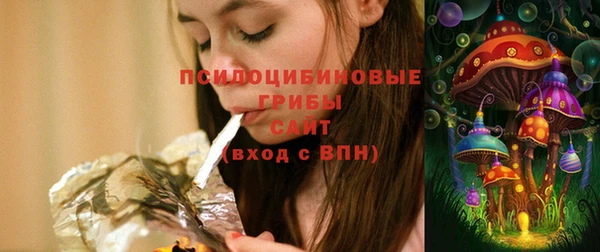 МДПВ Алзамай