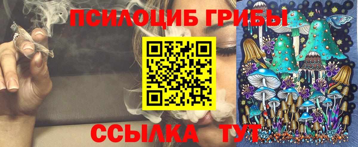 купить   Вход с VPN  Арсеньев  Галлюциногенные грибы GOLDEN TEACHER 
